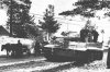 Panzer VI Tiger I (65)